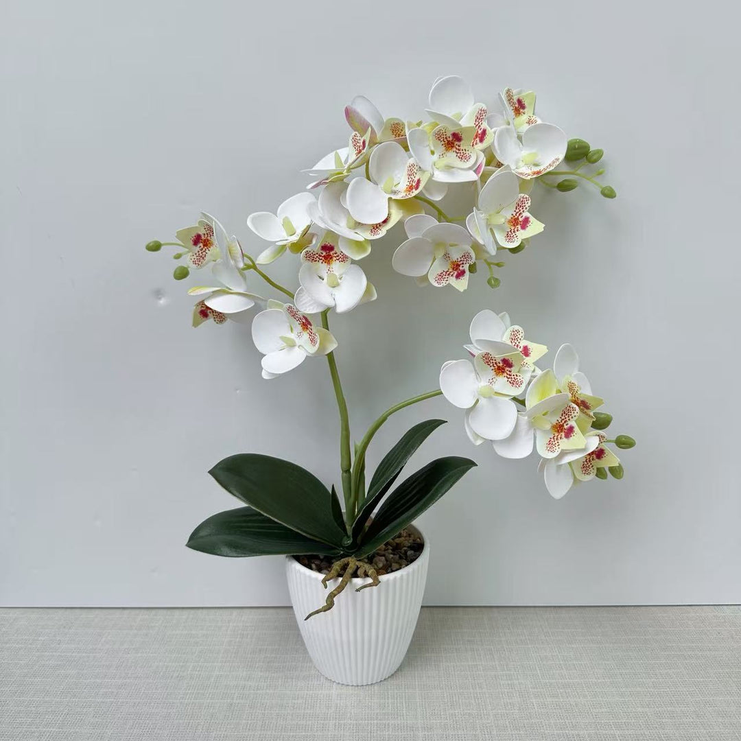 Lebensechte Orchideen Blumengesteck