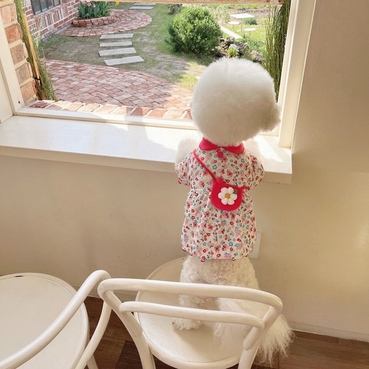Baby Blumen Ripp Baumwollkleid mit Peter-Pan-Kragen