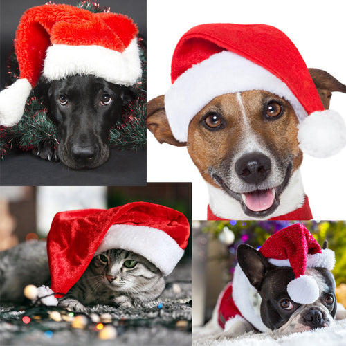 Weihnachtsmütze für Haustiere