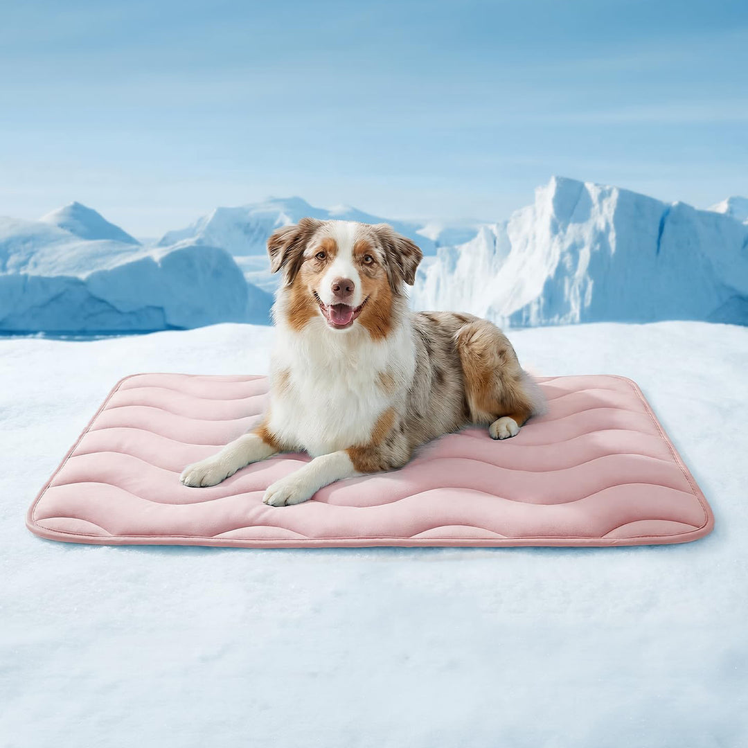 Damen orthopädisches Hundebett Karnz