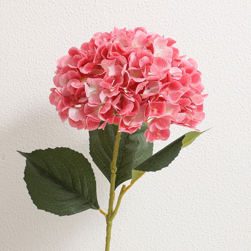 Kunsthortensienzweig mit detaillierten Blüten Karnz