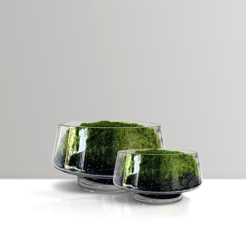 Dekoratives Terrarium