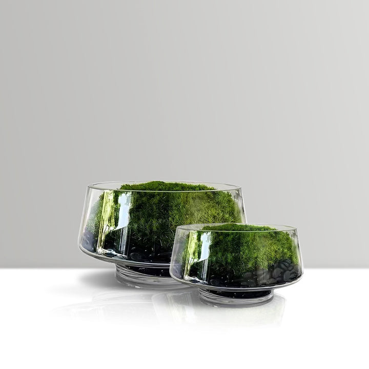 Dekoratives Terrarium