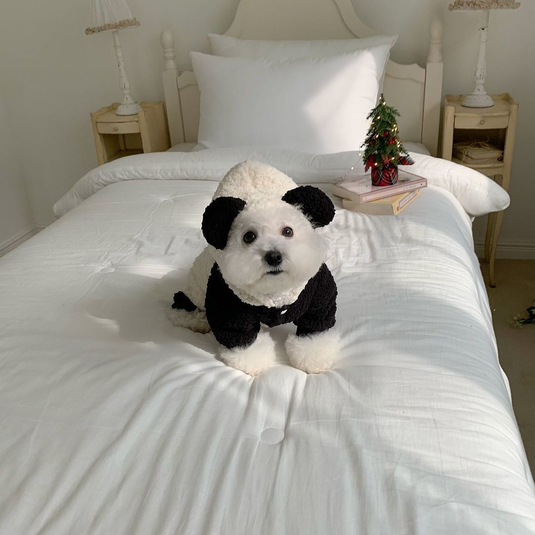 Sherpa-Fleece-Panda-Hoodie-Harness-freundlicher Hundemantel