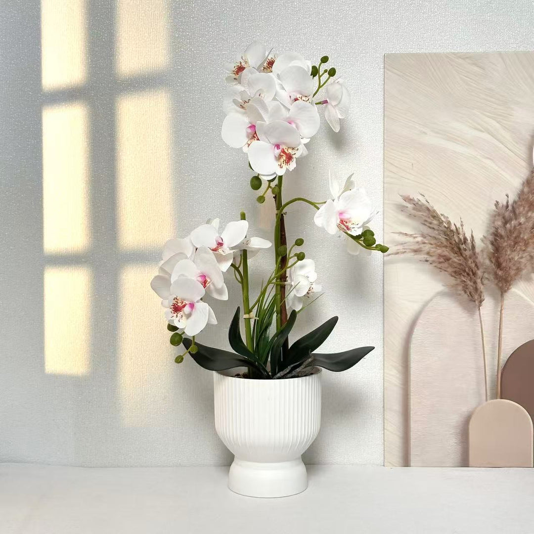 Dekorative Orchideenpflanzenarrangement 1790480695 für Dekor