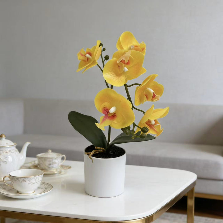 Lifelike Phalaenopsis-Orchideenpflanzenanordnung