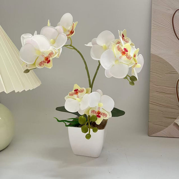 Lebensechte Orchideenpflanzenanordnung für die Heimpräsentation