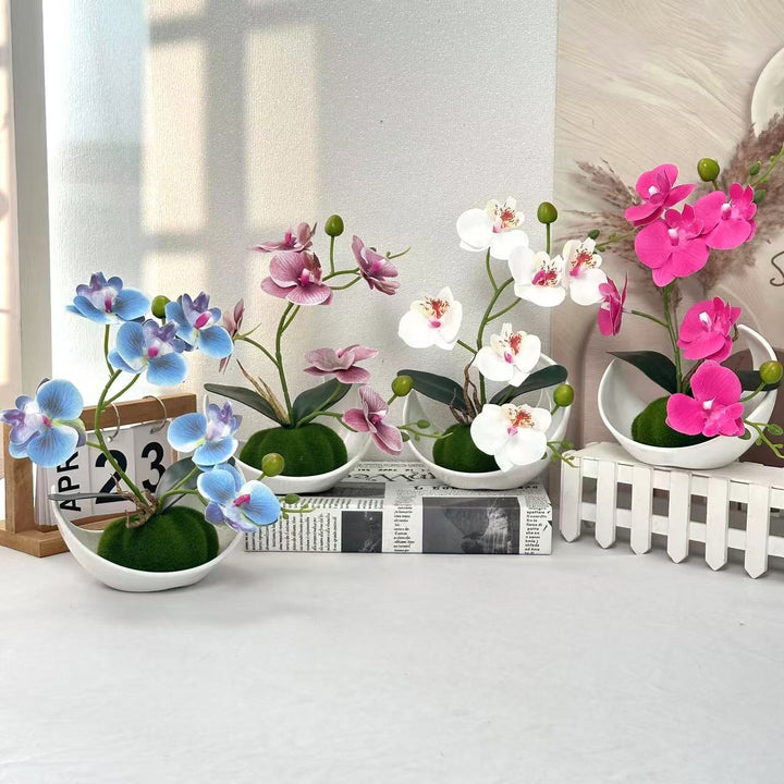 Orchideen Dekorativer Mittelpunkt