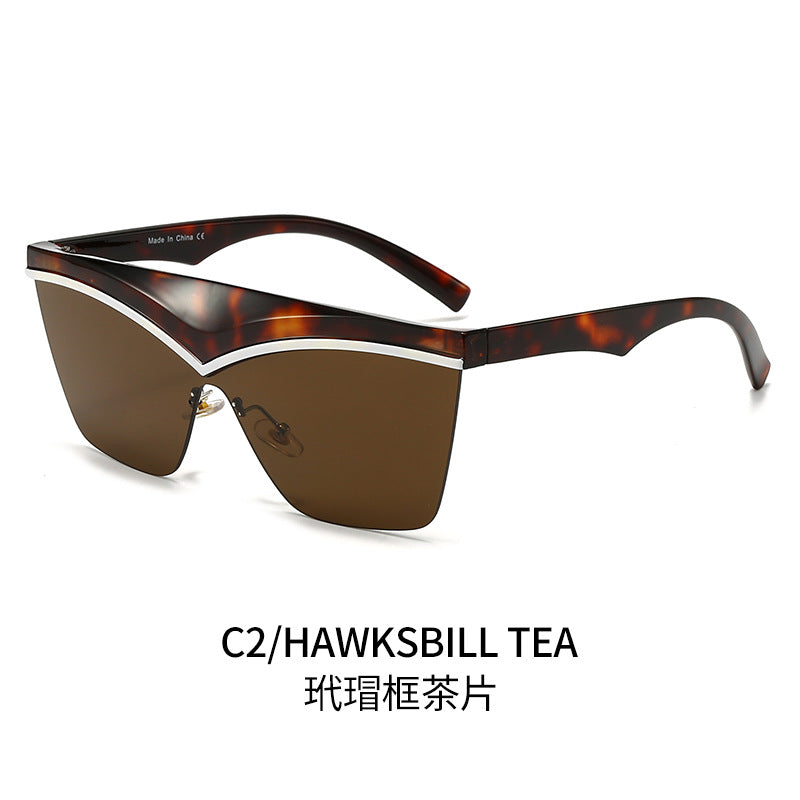 Damen Designer-Sonnenbrille mit asymmetrischem Rahmen und hochmodernen Gläsern Karnz