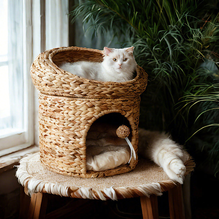 Katzenbett Karnz
