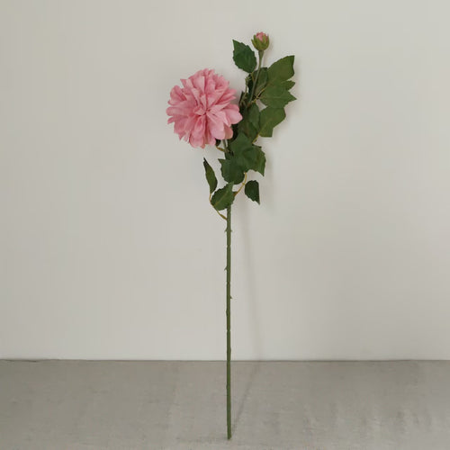 Realistische Dahlienblumenstängel