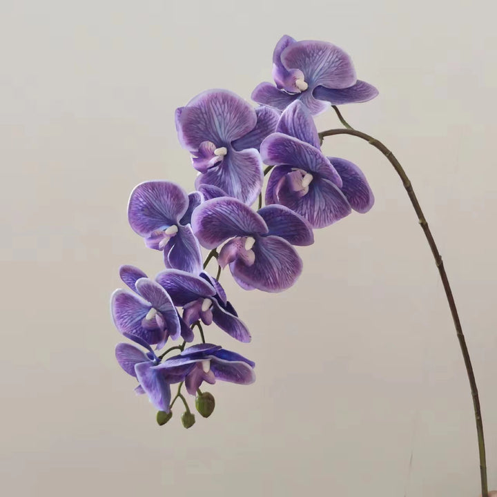 Realistische Orchideen-Blumenarrangement