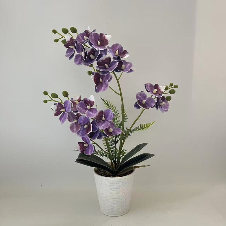 Elegante dekorative Orchideenpflanzenarrangement für die Heimdekoration