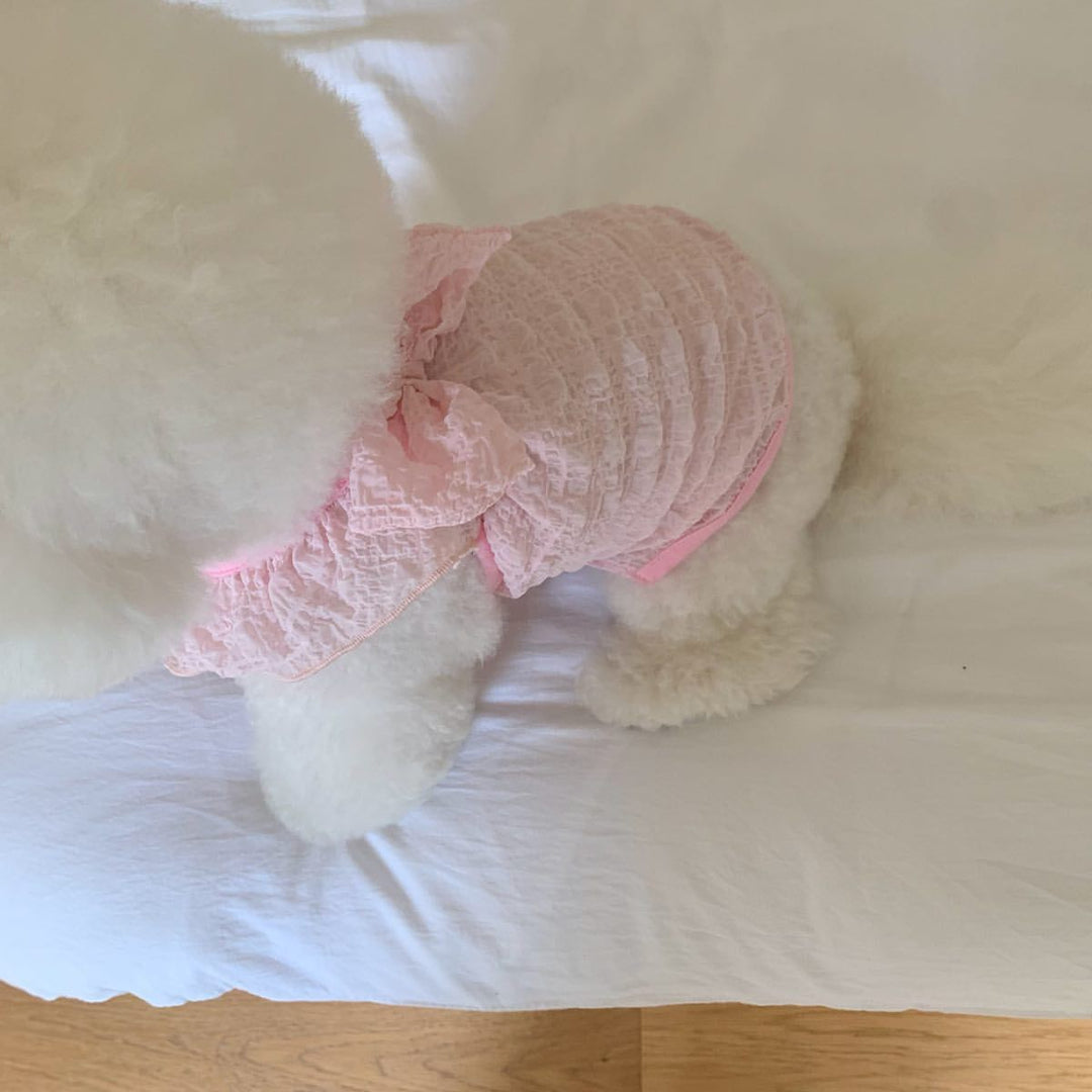 Spitzen-Raffung-Hundekleid mit dekorativem Rücken