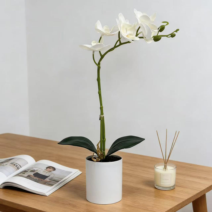 Realistische Künstliche Orchideenstängel