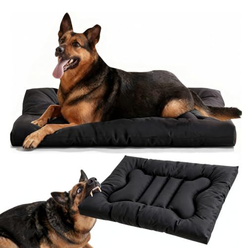 Hunde Bett Karnz