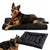 Hunde Bett Karnz