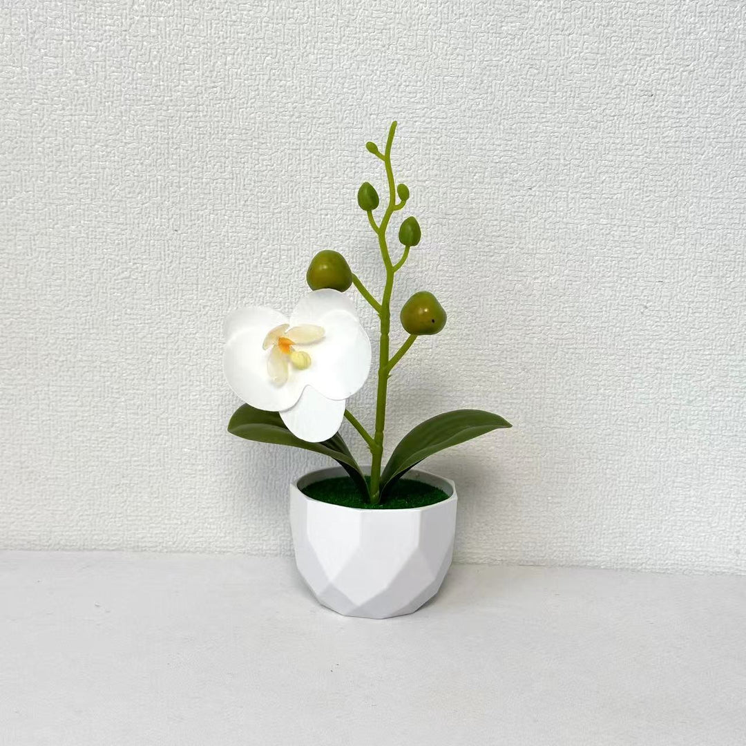 Orchideenpflanzenarrangement