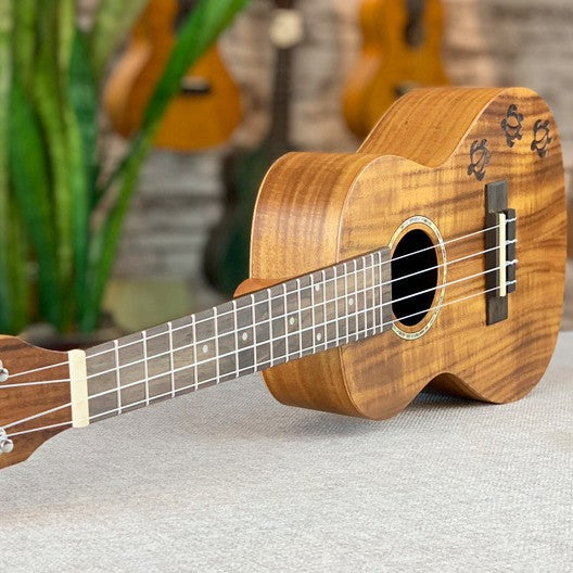 Premium 23-Zoll exotische Koa Ukulele Karnz