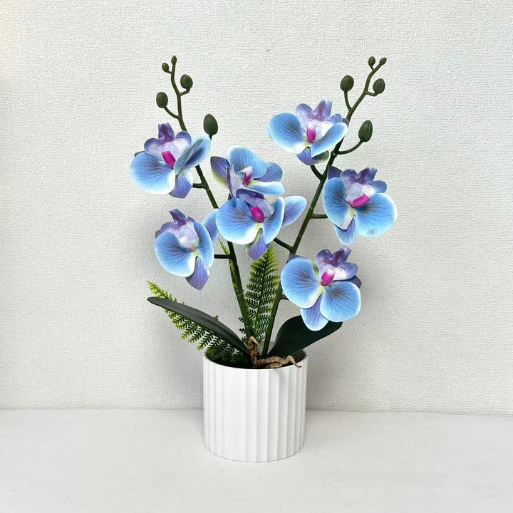 Realistische Orchideenpflanzenanordnung