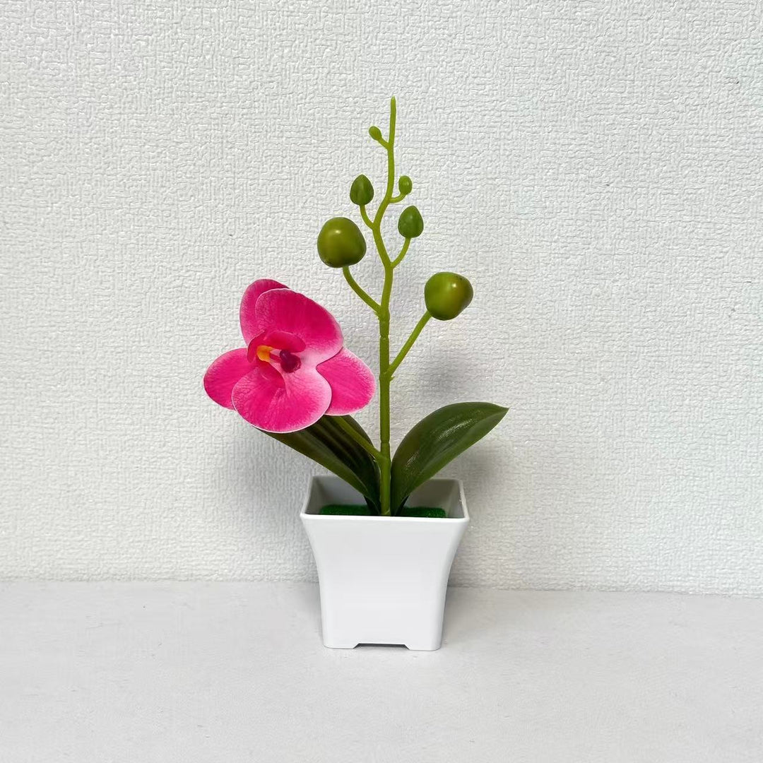 Lebensnahe Miniatur-Orchideenpflanze