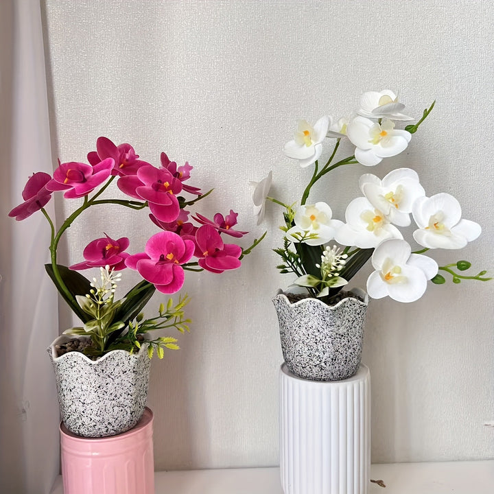 Dekorative florale Orchideenarrangement für die Wohnkultur