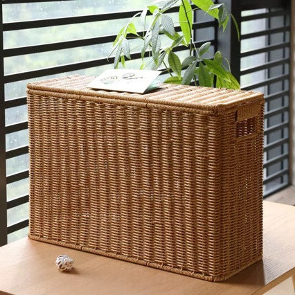 Unisex dekorative Rattan Aufbewahrungskiste Karnz
