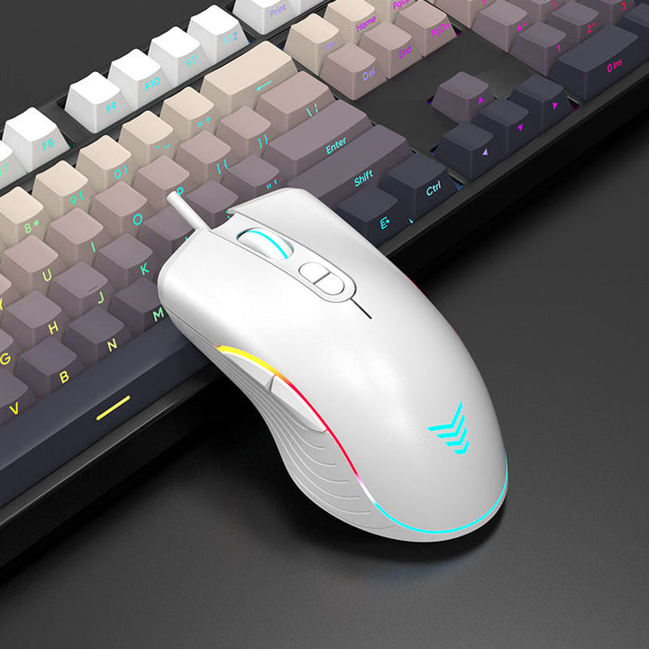 Ergonomische Gaming-Maus Karnz