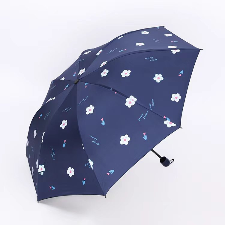 Damen Regenschirm Karnz