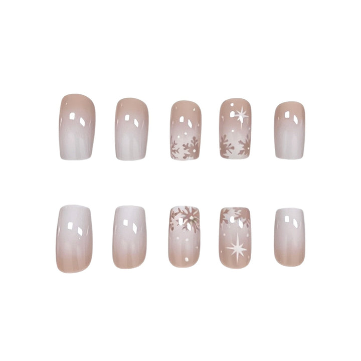 Elegante Frosted Winter Nagelkunst Verbesserungen Karnz