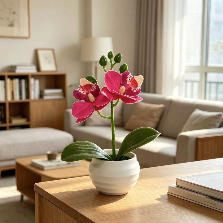 Lebensechte dekorative Orchideenpflanzenarrangement für die Wohnkultur