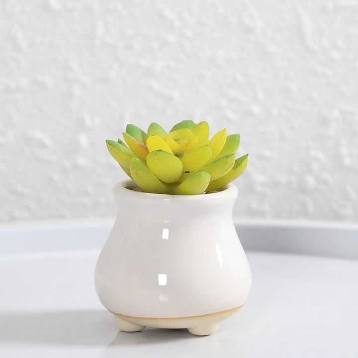 Miniatur Dekorativer Blumentopf Karnz