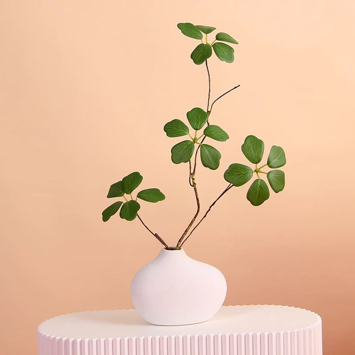 Minimalistische dekorative Pflanzenanordnung