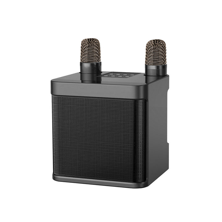 Dual-Mikrofon Karaoke-Lautsprecher Karnz