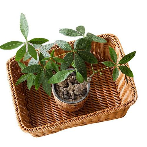 Woven Storage Container Karnz