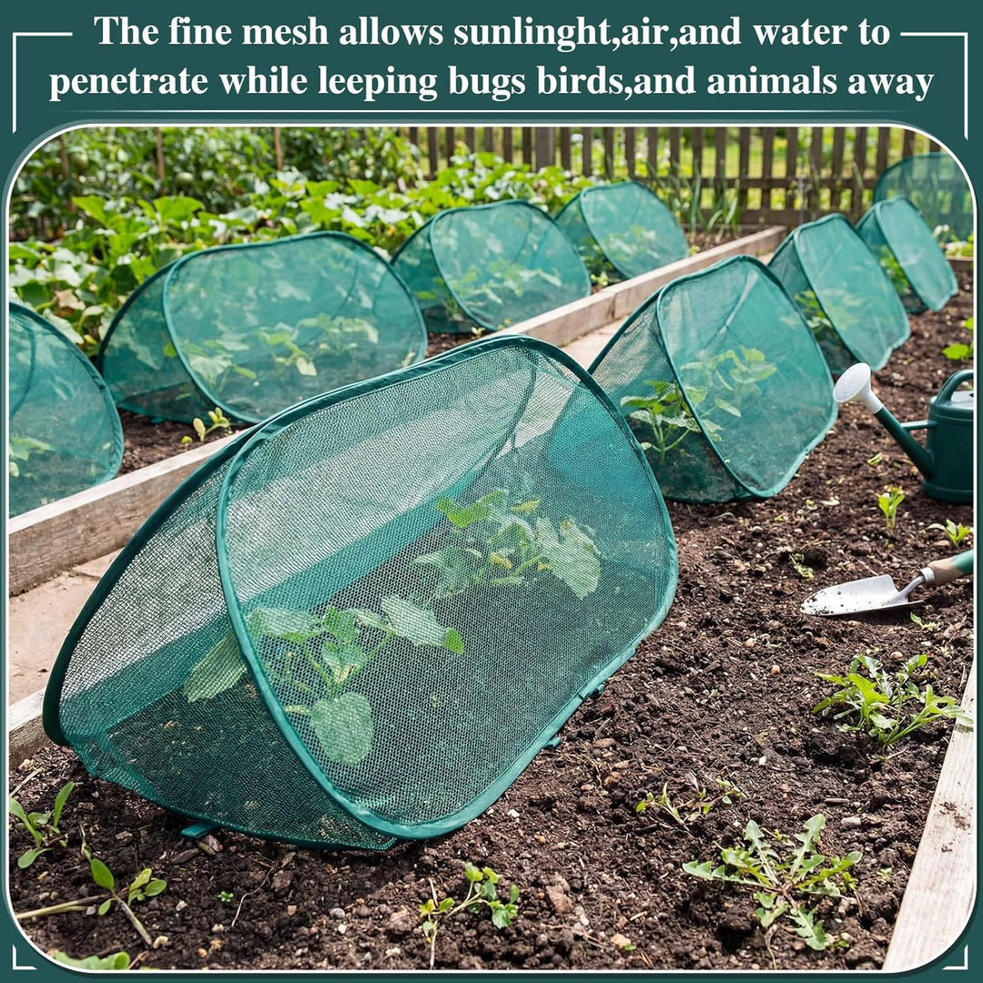 Gartenpflanzen Schutz Karnz