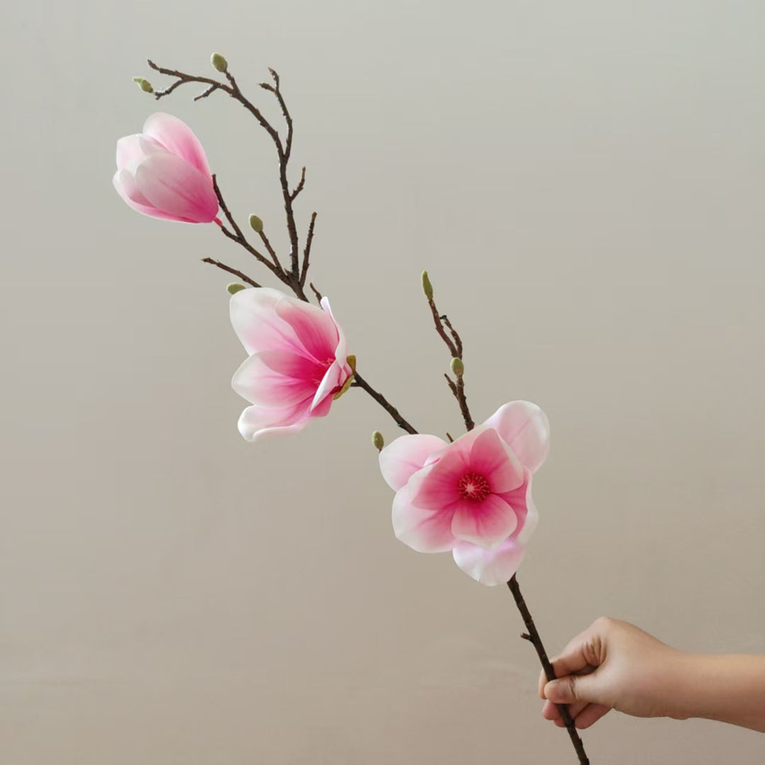 Elegante Magnolienblüte Stiel