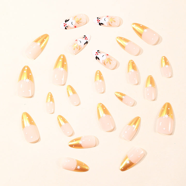 Dekorative Glitter Stiletto Nagelkunst Verlängerungen Karnz