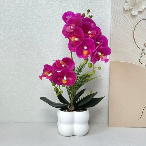 Premium lebensechte Orchideenpflanzenarrangement