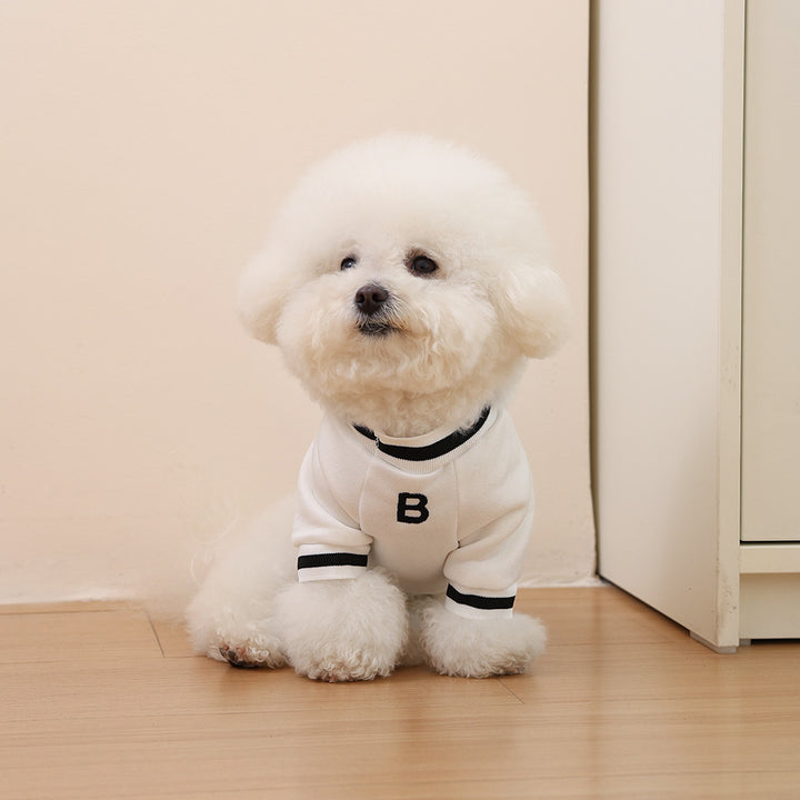 Pet Strick Polo Pullover mit geripptem Kragen und gestickter Brust