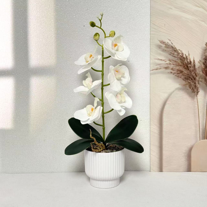 Stylisches Faux-Orchideenpflanzenarrangement