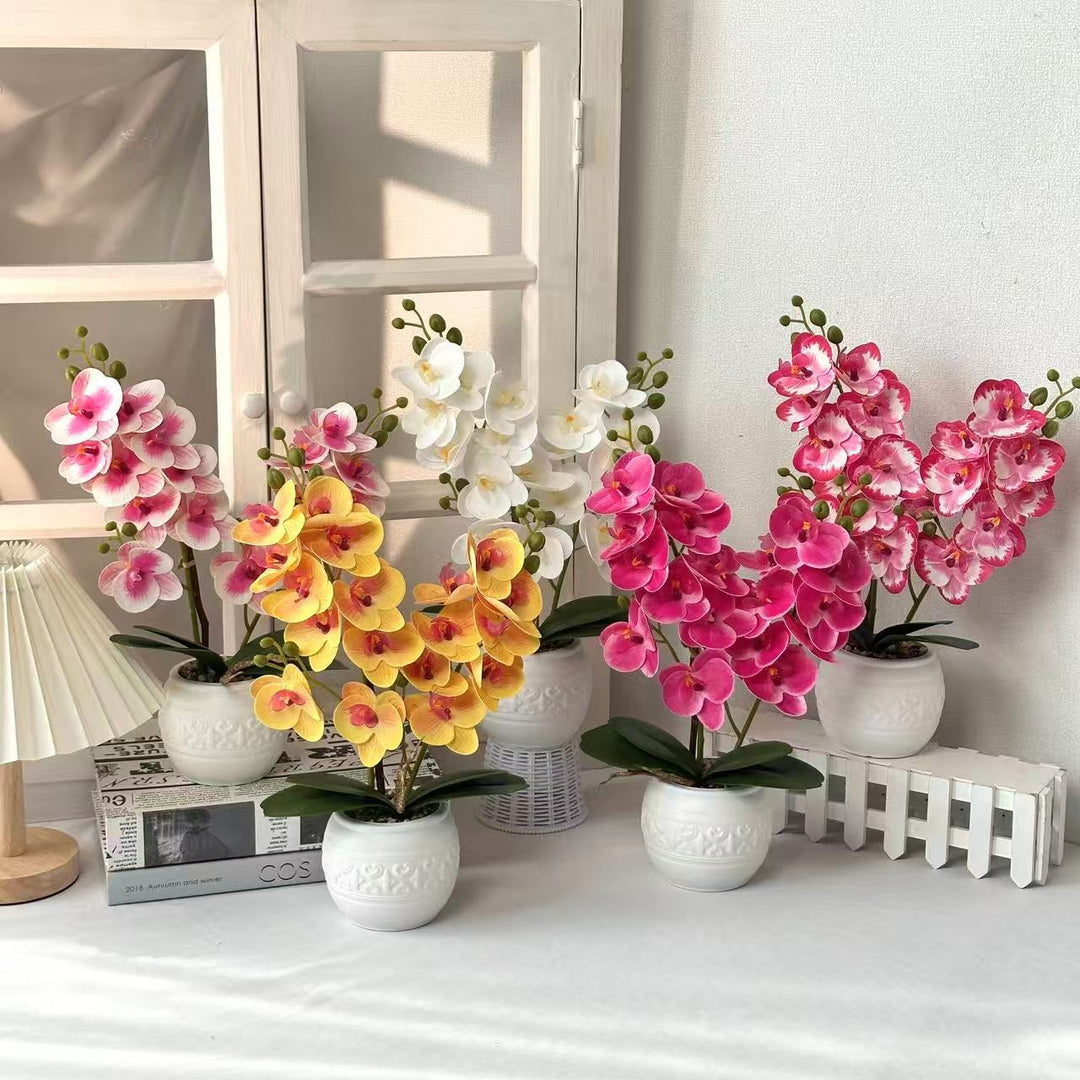 Dekorative Orchidee für Tischdekoration