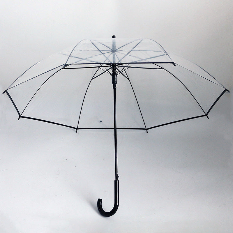 Damen transparenter Regenbogen Karnz