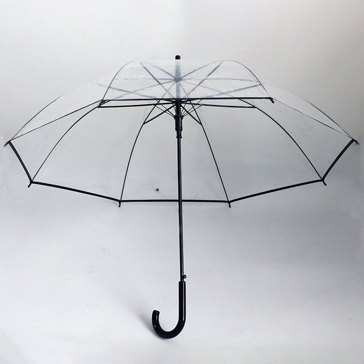 Damen transparenter Regenbogen Karnz