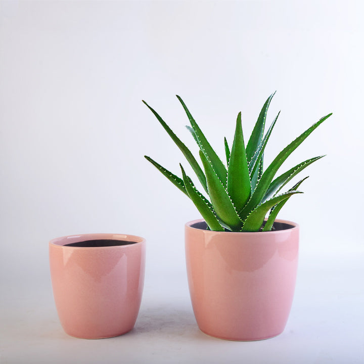 Blumentopf Set Karnz