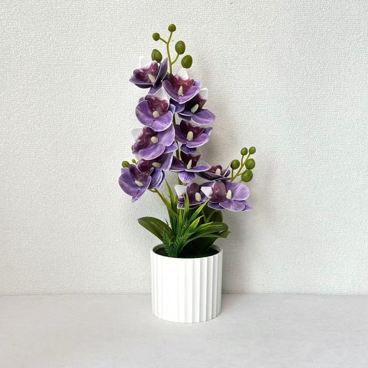 Realistische Indoor-Orchideenpflanzenanordnung