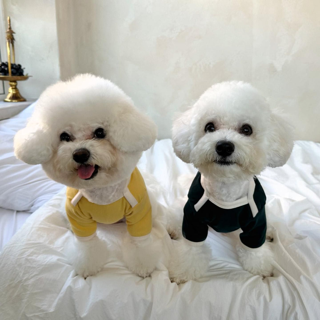Kleiner Hund Slim-Fit Baumwoll-Jersey T-Shirt