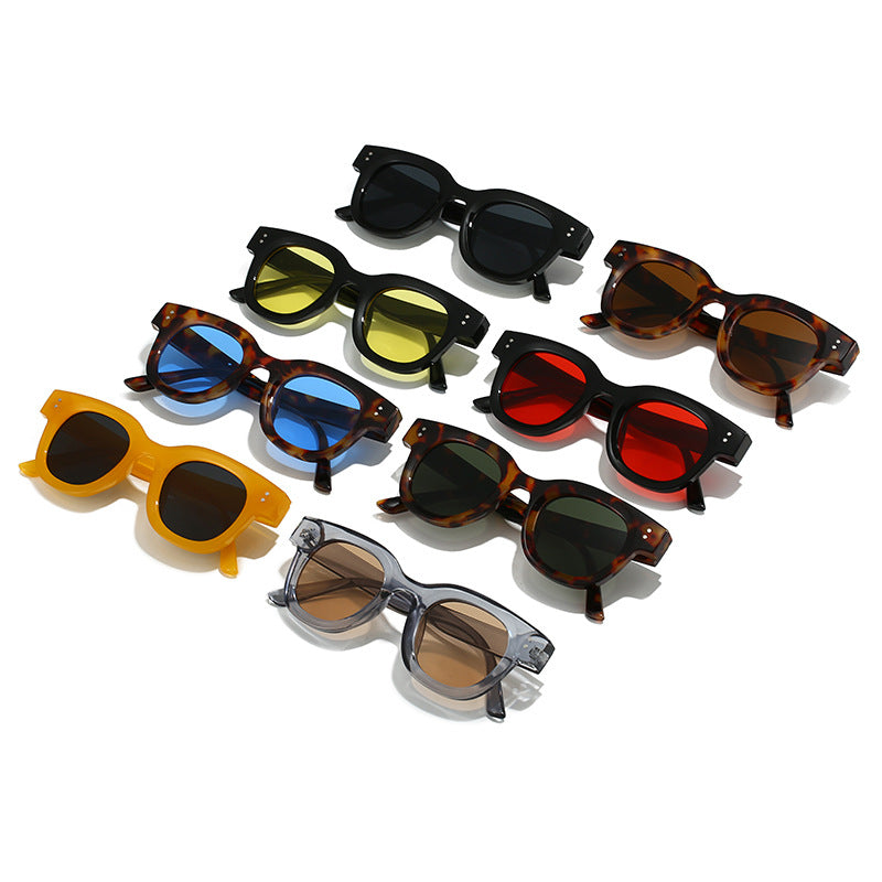 Damen modische Sonnenbrille im zeitlosen Schildkrötenmuster Karnz