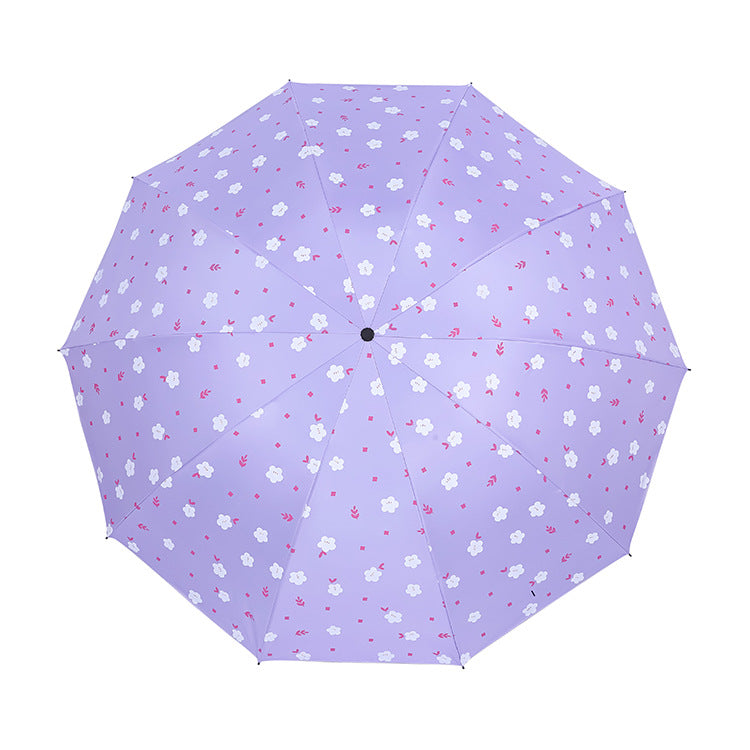 Damen Regenschirm Karnz