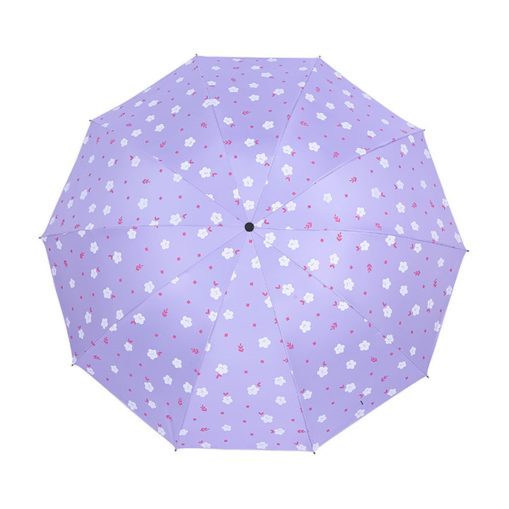 Damen Regenschirm Karnz